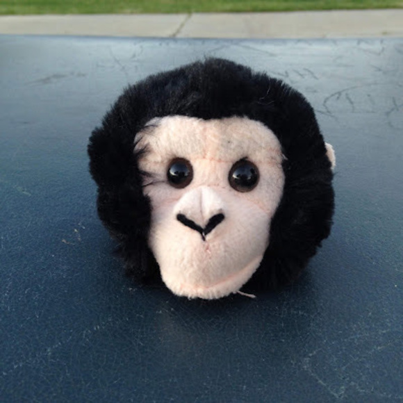 Meet your Posher, Genesis - Picture 1 of 1